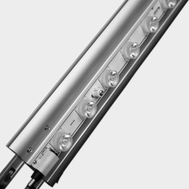 Backlit SEG - Image 2